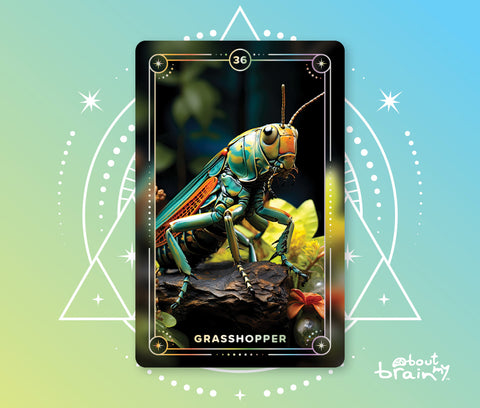 Grasshopper Spirit Animal