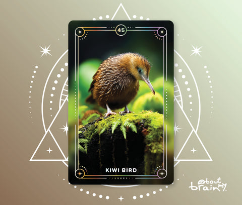 Kiwi Bird Spirit Animal