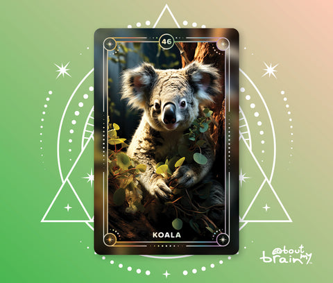 Koala Spirit Animal