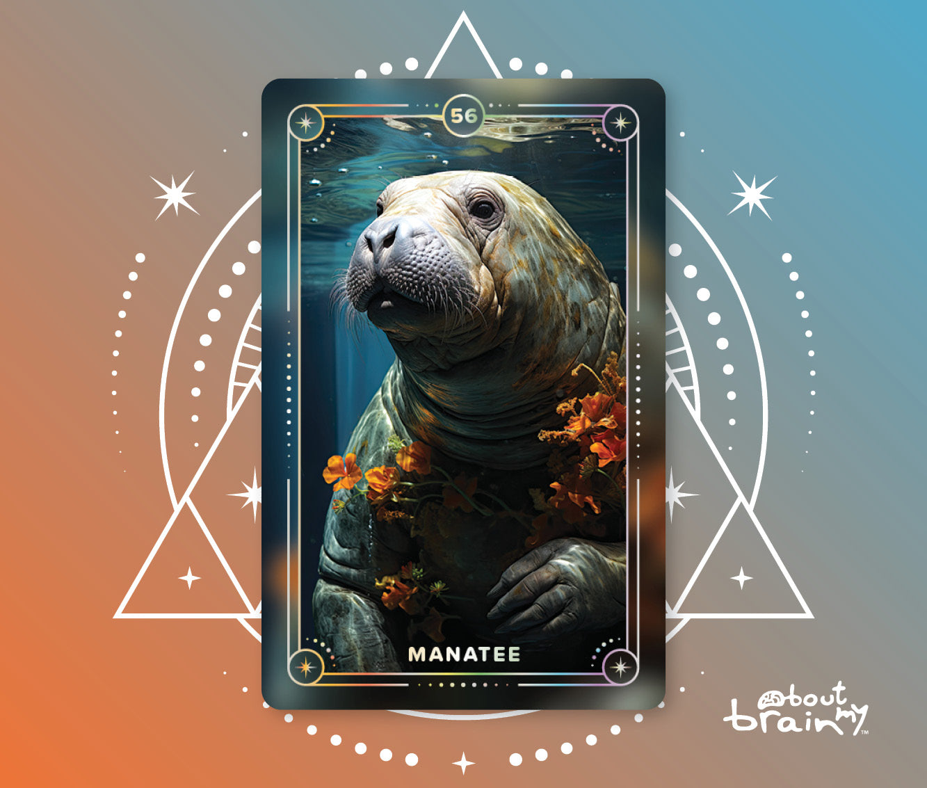 Manatee Spirit Animal – About my Brain Institute