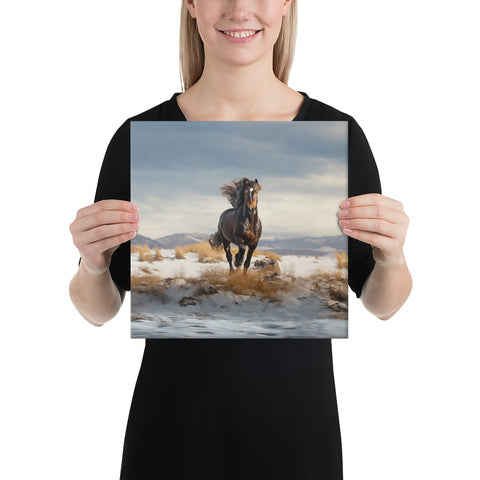 Horse Spirit Animal Canvas
