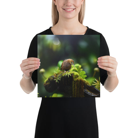 Kiwi Bird Spirit Animal Canvas