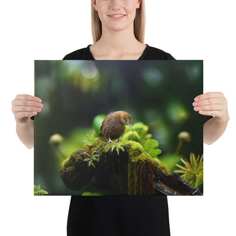 Kiwi Bird Spirit Animal Canvas