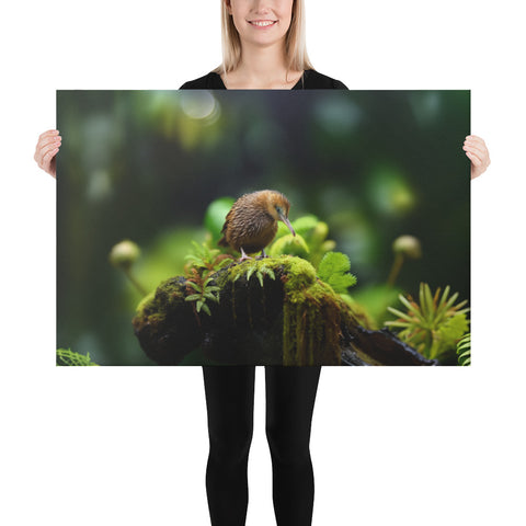 Kiwi Bird Spirit Animal Canvas