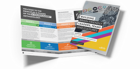 i4 Neuroleader Manifesto Colorful brochures on a white background