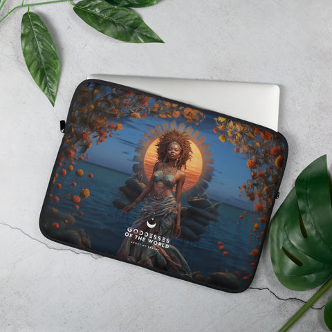 Laptop Sleeves