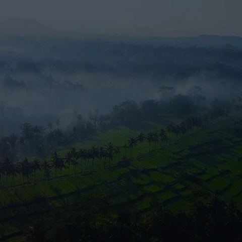 Bali Retreat Showreel 2024: i4 Neuroleader™ Methodology Certification