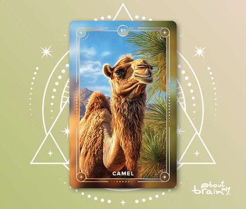 Camel Spirit Animal