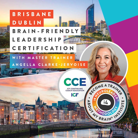 About my Brain Institute Training Brain-Friendly Leadership Certification