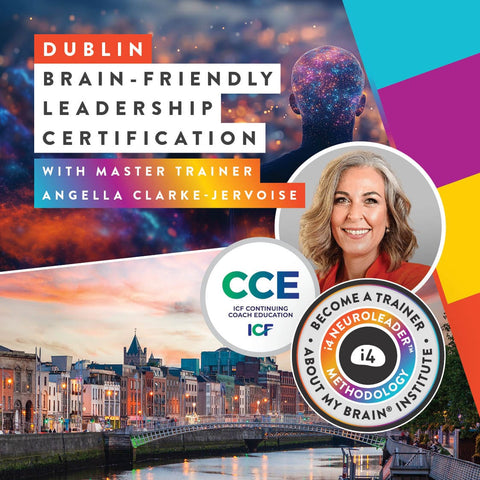 About my Brain Institute Training Dublin, IRE • TBC Brain-Friendly Leadership Certification