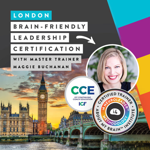 Brain-Friendly Leadership Certification