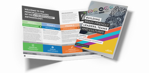 i4 Neuroleader Manifesto Colorful brochures on a white background