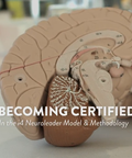 Becoming Certified in the i4 Neuroleader Model & Methodology