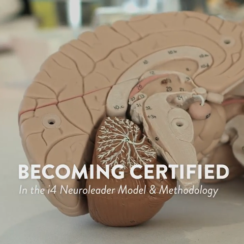 Becoming Certified in the i4 Neuroleader Model & Methodology